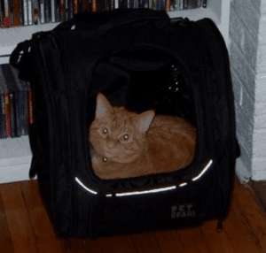 Pet Gear I-GO2 Traveler Roller Backpack