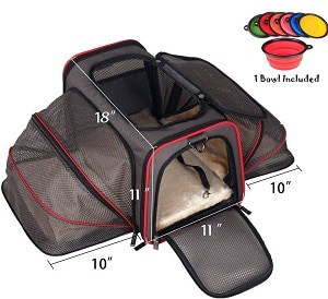 cat carrier size guide